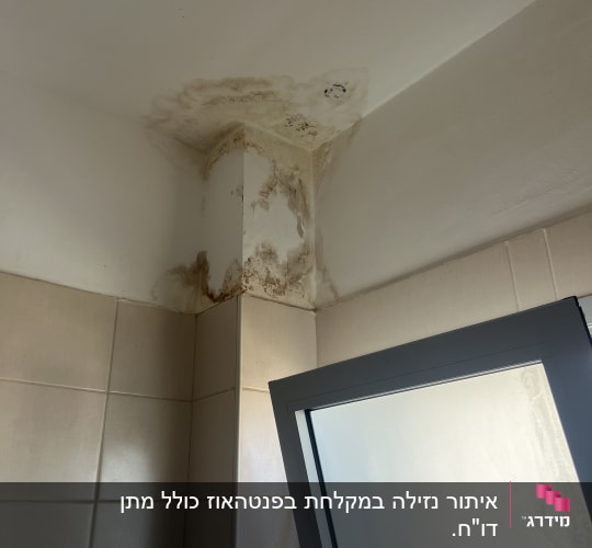 רטיבות ועובש בפינת תקרה ליד חלון